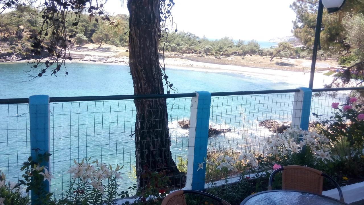 Gorgona Rooms Αλυκή Εξωτερικό φωτογραφία
