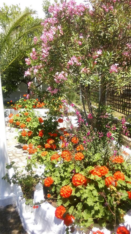 Gorgona Rooms Αλυκή Εξωτερικό φωτογραφία